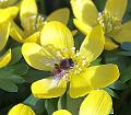 T-20150308-143112_IMG_9152-7a aa